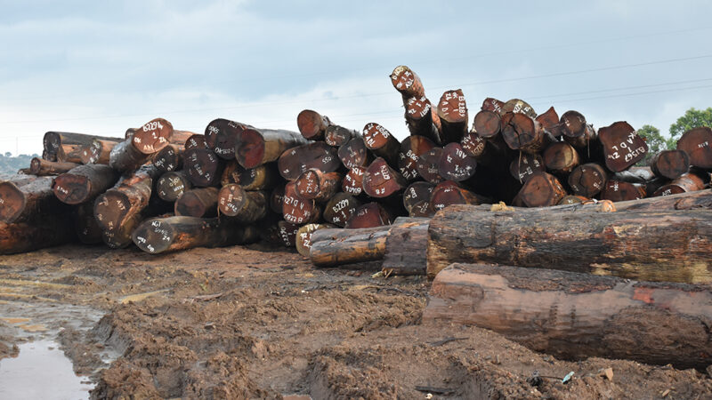 LA VALEUR AJOUTÉE DANS LE BOIS