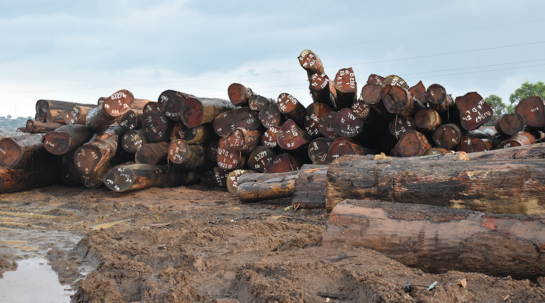 LA VALEUR AJOUTÉE DANS LE BOIS