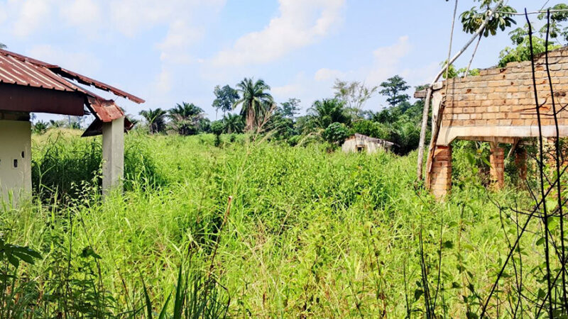 LE VILLAGE FIPAC GÎT DANS LA BROUSSAILLE À IMPFONDO