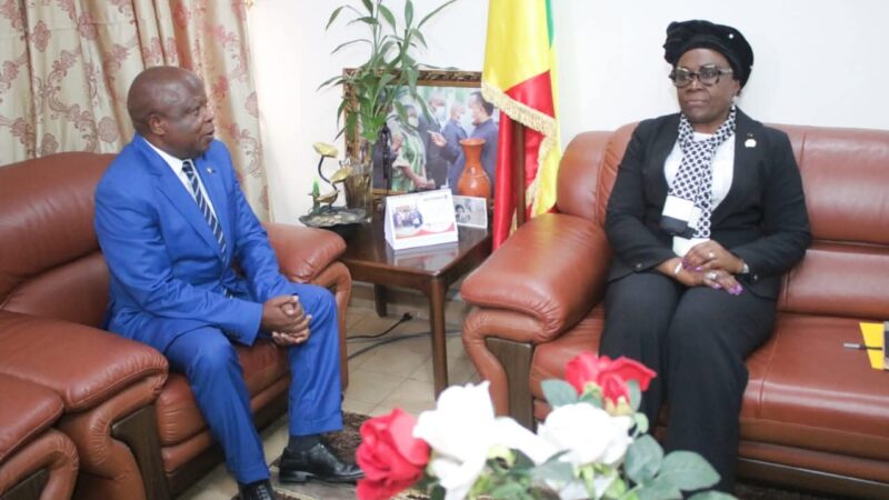 LE DEPUTE NGATSELE PRESENTE LE SINISTRE DE MBON AU GOUVERNEMENT