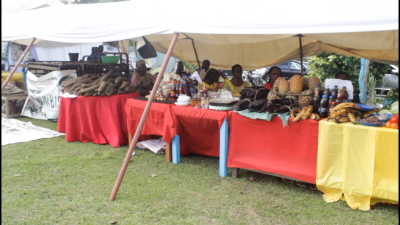 LE MARCHÉ KOLISA DU FIGA