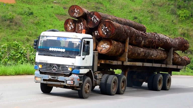 LES DÉFIS DE L&rsquo;EXPORTATION DES GRUMES