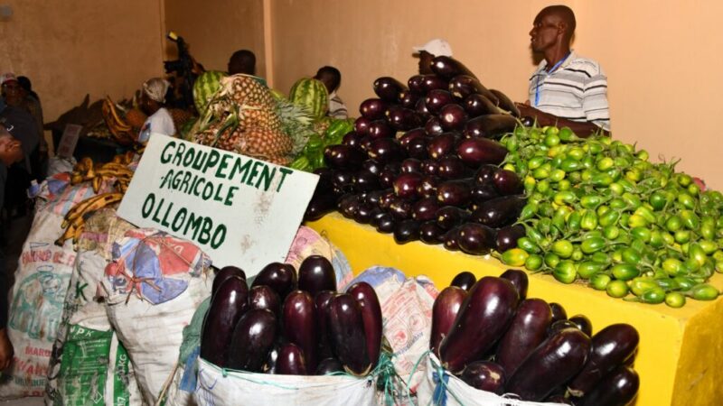 L&rsquo;AGRICULTURE AU COEUR DE LA DIVERSIFICATION DE L&rsquo;ECONOMIE CONGOLAISE ?