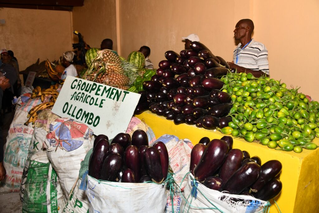 L&rsquo;AGRICULTURE AU COEUR DE LA DIVERSIFICATION DE L&rsquo;ECONOMIE CONGOLAISE ?